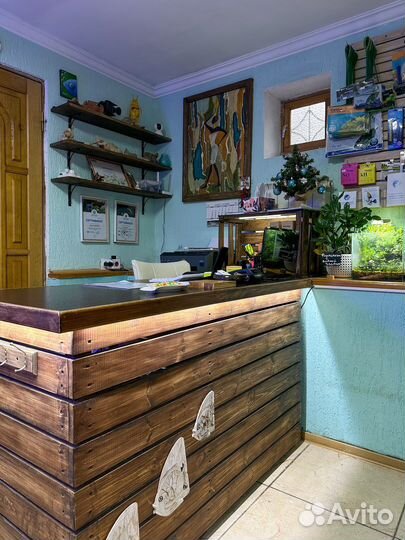 Аквариумсочи