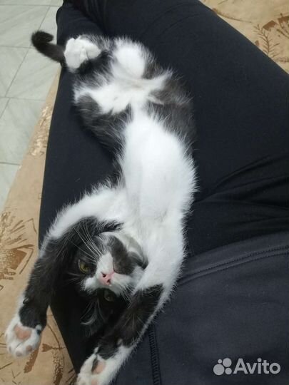 Очаровательная малышка