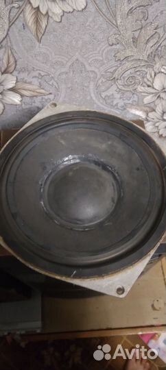 Динамики нч