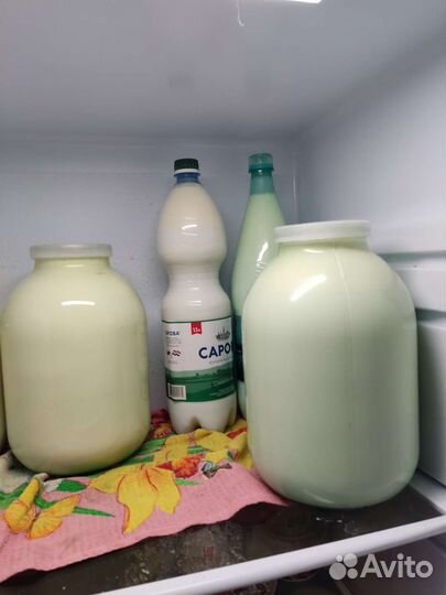 Молоко коровье домашнее