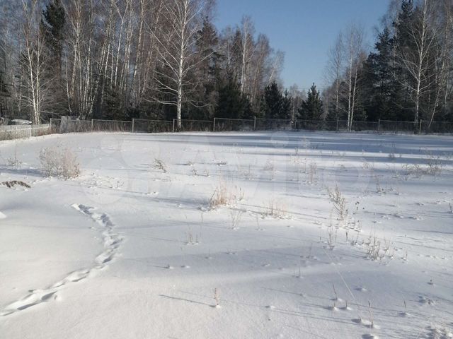 Участок 16 сот. (СНТ, ДНП)