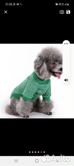 Вещи для маленьких собак