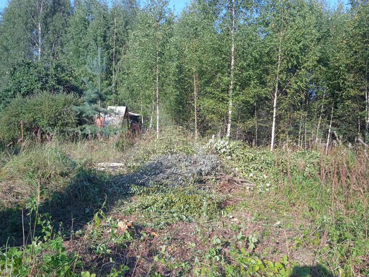 Участок 18 сот. (СНТ, ДНП)