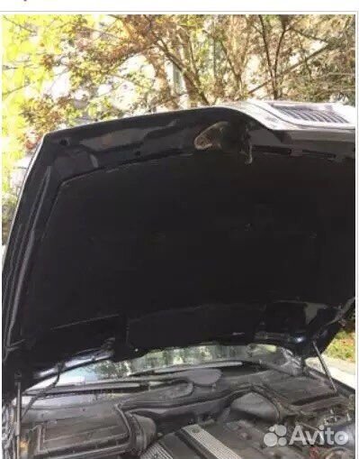 Шуба капота оригинал бмв е39 новая под заказ