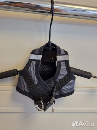 Курточка для чихуахуа и шлейка