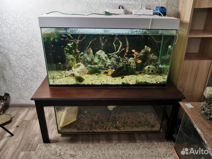 Аквариум 200 литров и все для него