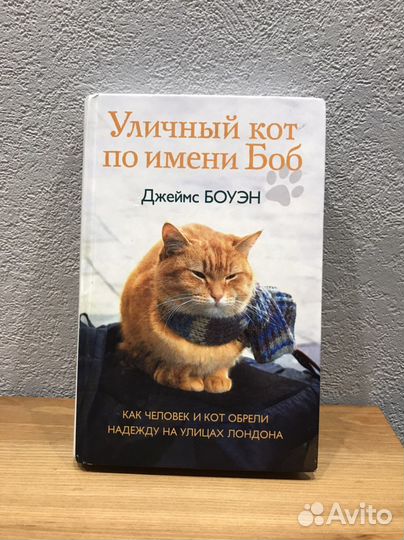Книга «Уличный кот по имени Боб»