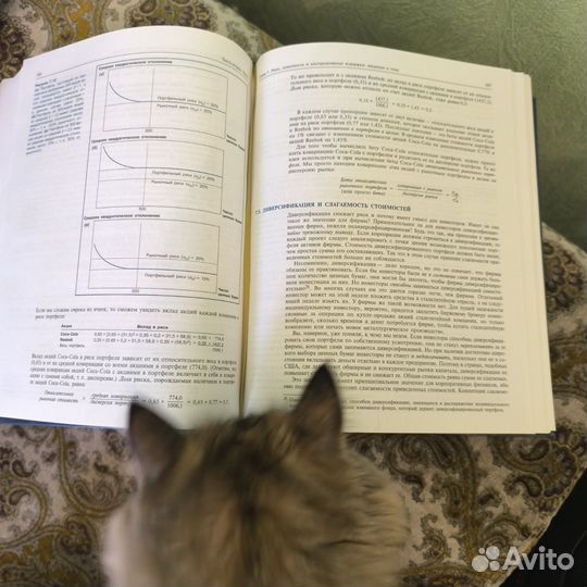 Принципы корпоративных финансов Брейли-Майерс