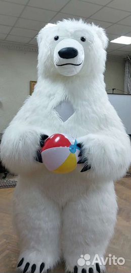 Белый мишка экспресс поздравление на праздники