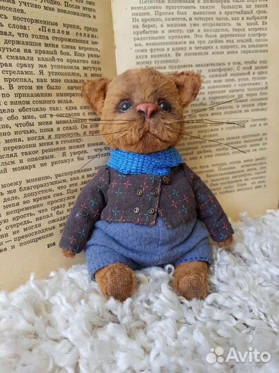 Кот Тимофей