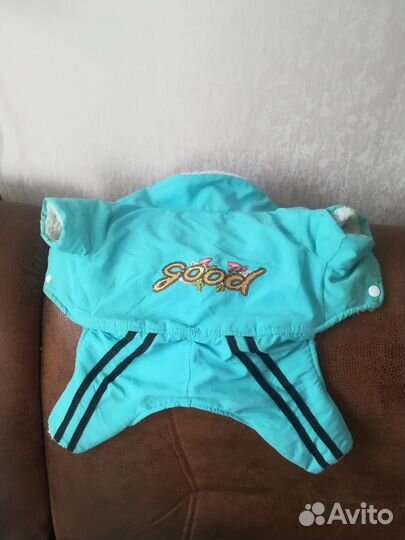 Одежда для собак мелких пород