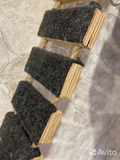 Лесница когтеточка