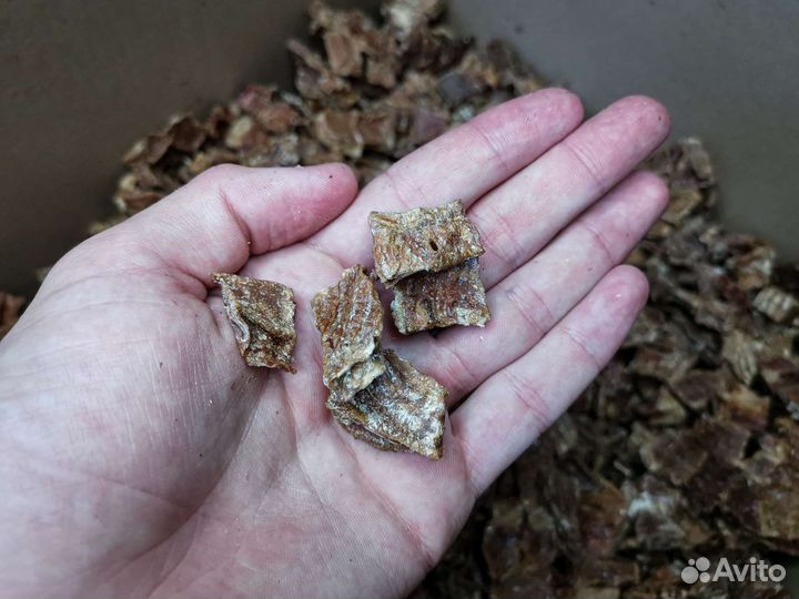 Лакомства для собак