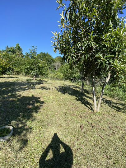 Участок 6,1 сот. (СНТ, ДНП)