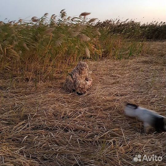 Маскировочные халаты от Дмитрия Уварова для охоты