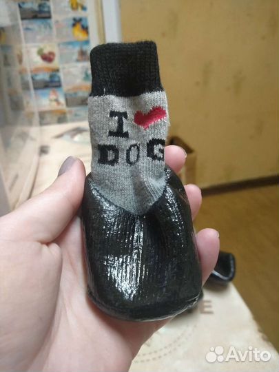 Обувь для собак