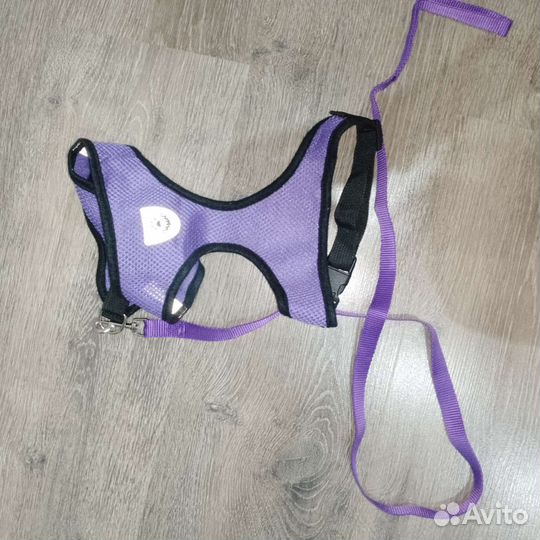 Поводок для собак