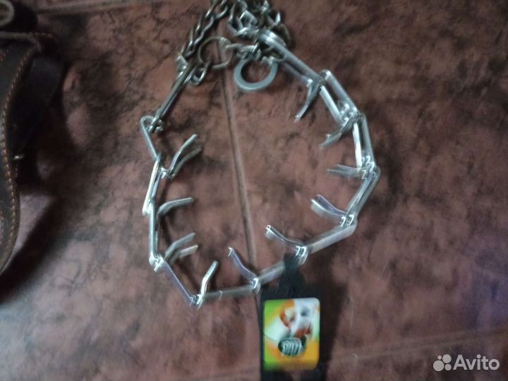 Строгий ошейник для собак