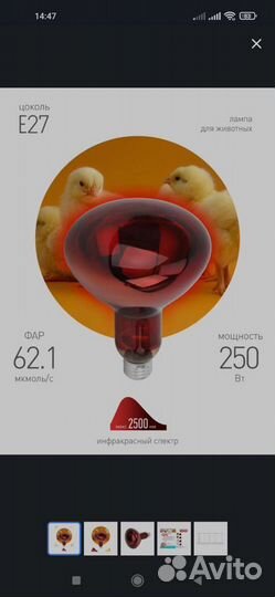 Инфракрасная лампа для животных 250Вт E27