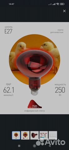 Инфракрасная лампа для животных 250Вт E27