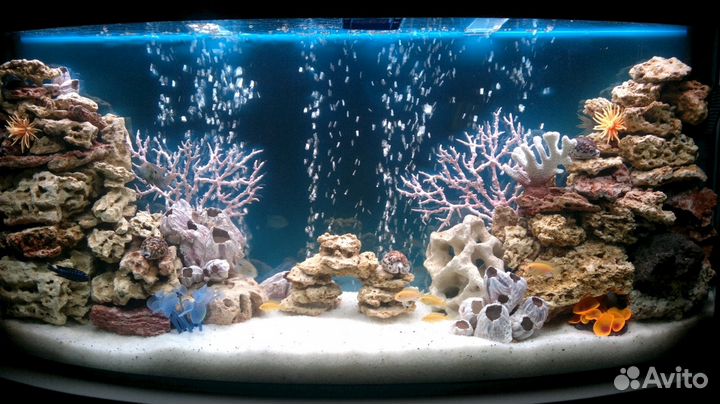 Обслуживание, чистка аквариума