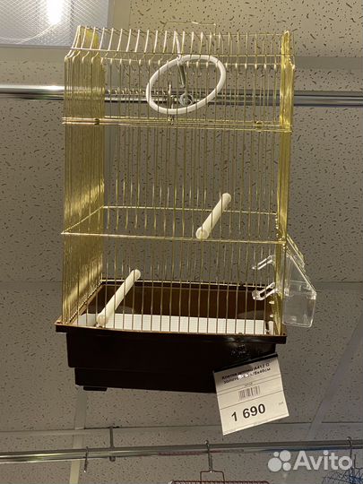 Амадина зебровая