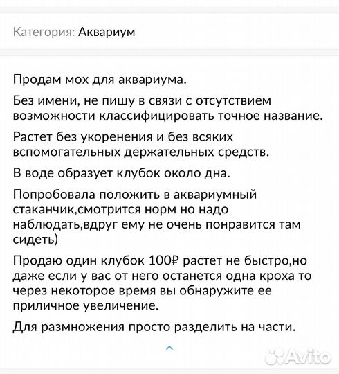 Растения для аквариума