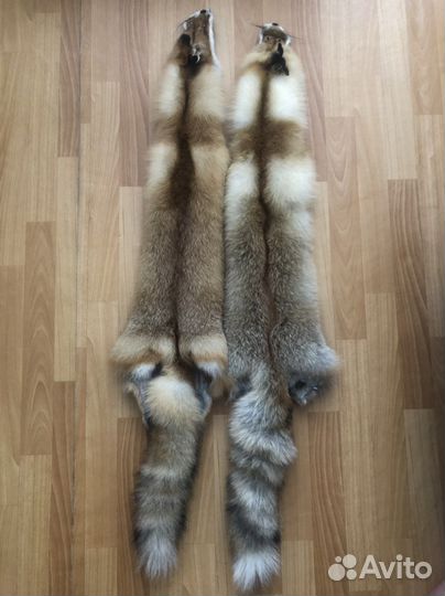 Шкурки лисицы