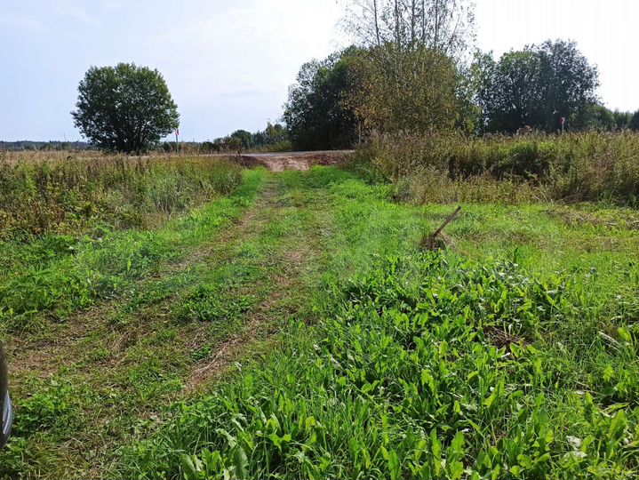 Участок 25 сот. (ИЖС)