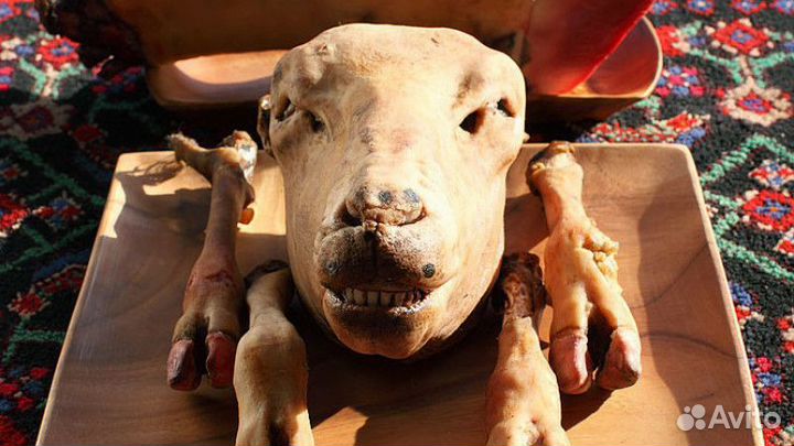 Овечьи головы и ноги