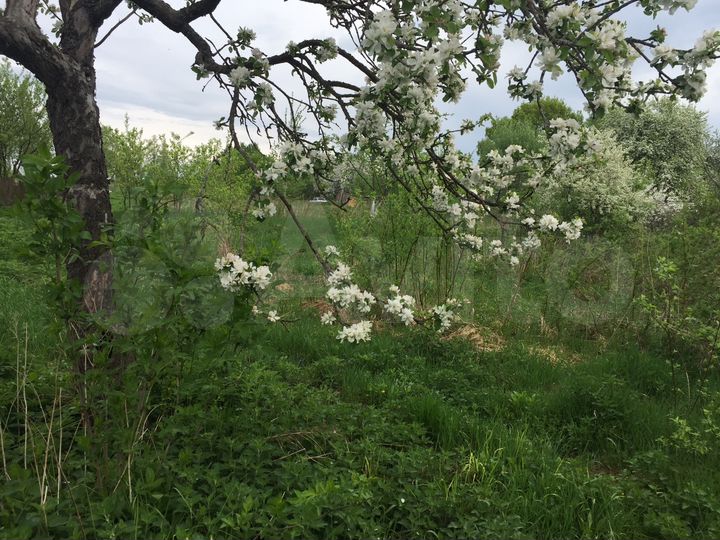 Дом 54 м² на участке 30 сот.