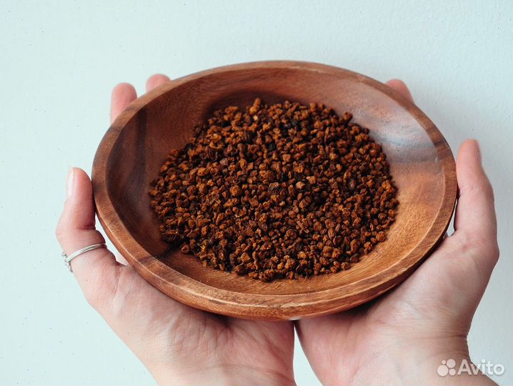 Чага сушеная опт. Любые объемы и виды