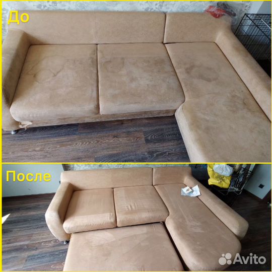 Аренда прокат моющего пылесоса Karcher puzzi