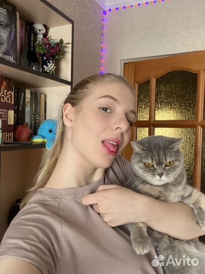 Передержка животных/ выгул собак /зооняня