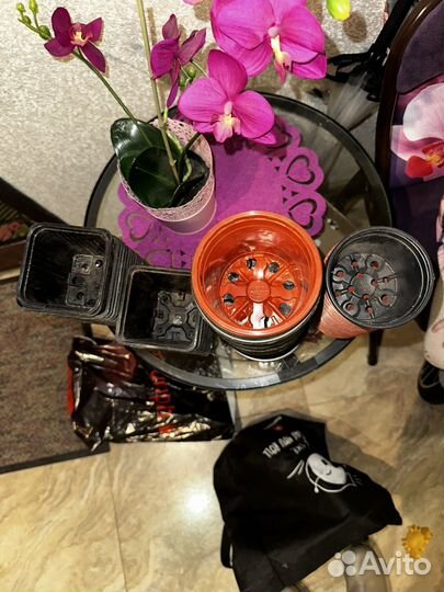 Горшочки для рассады пластик