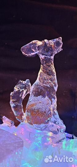 Экскурсия в Хибины, снежная деревня