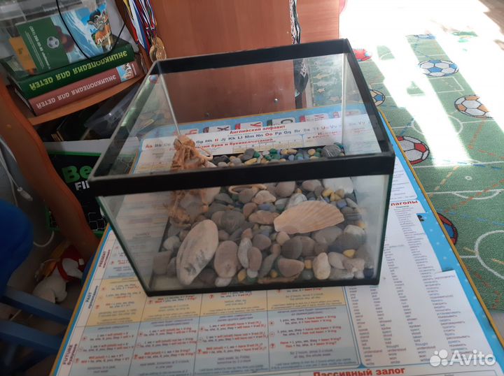 Аквариум(животные)