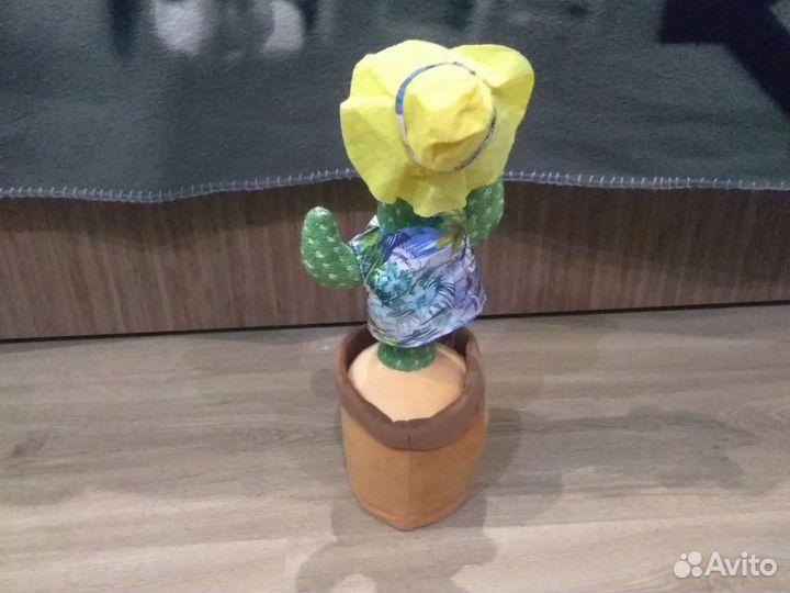 Говорящий кактус