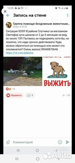 В добрые руки