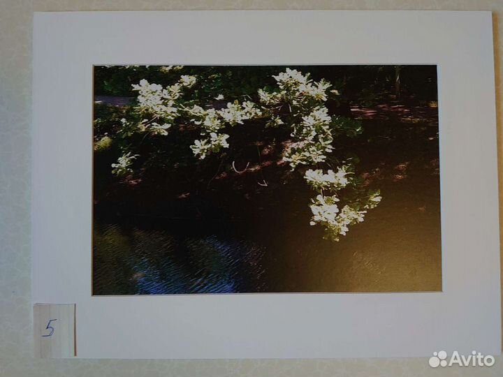 Фото пейзаж