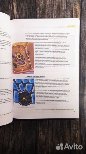 Диагностика кожи в практике косметолога Флюренс