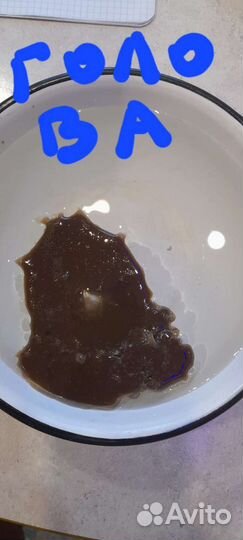 Гадание.Ясновидение. Магия,обучение