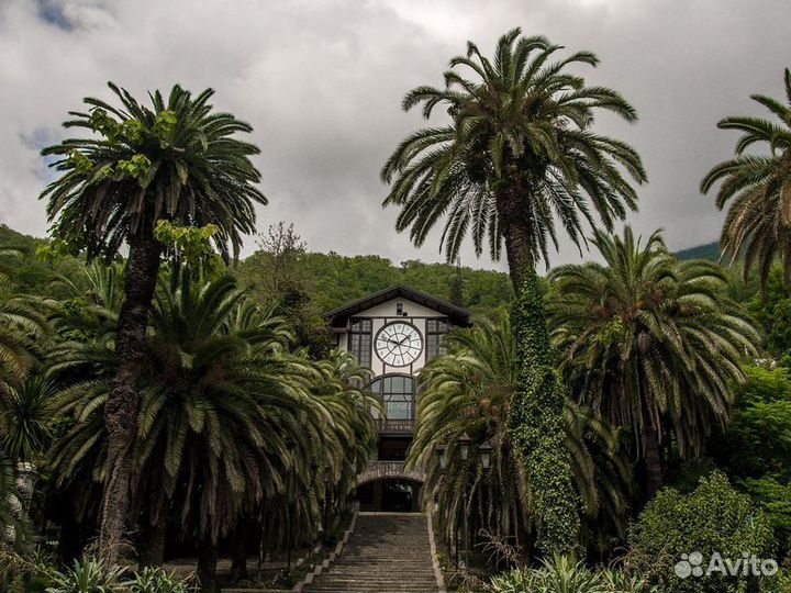 Экскурсия — Сочи — Абхазский драйв: озеро Рица и Г