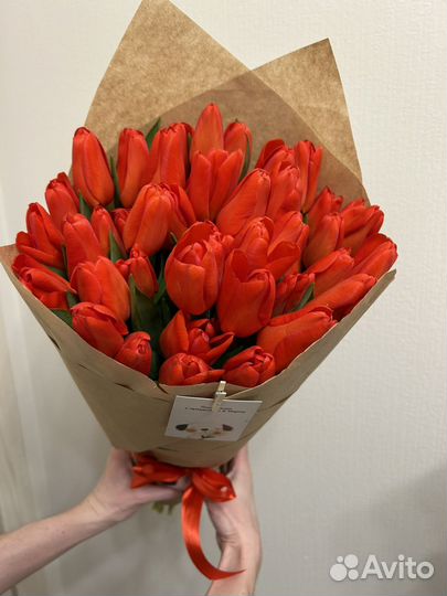 Тюльпаны супер яркие алые 49 шт в букете