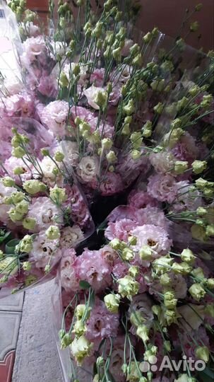 Эустома в наличии