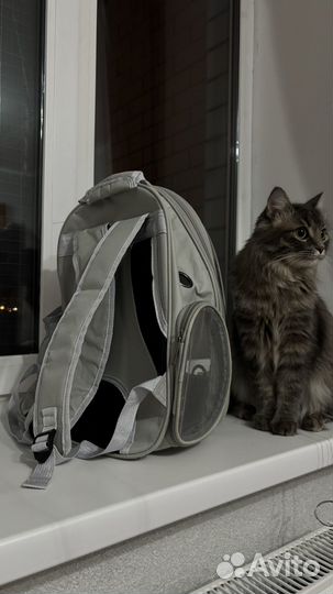 Рюкзак переноска для кошек