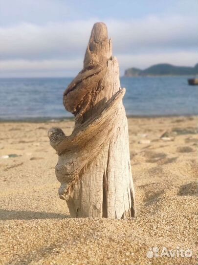 Дрифтвуд, морской декор