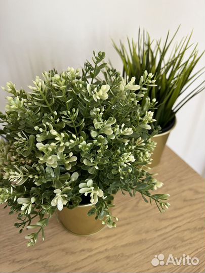 Искусственные цветы IKEA