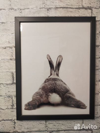 Постер картина 