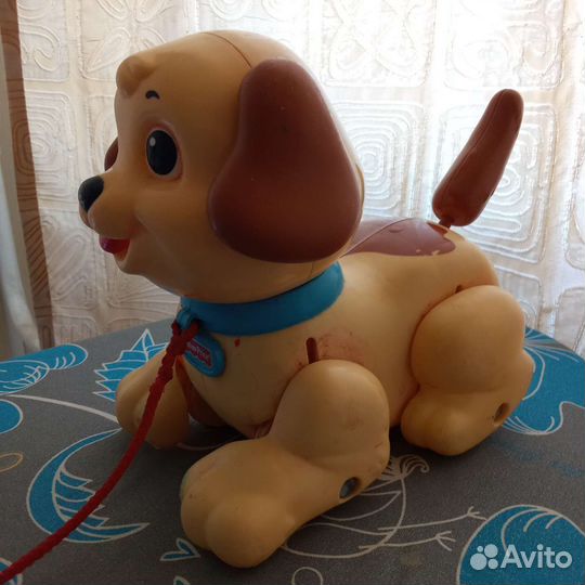 Веселый щенок на поводке на колесиках